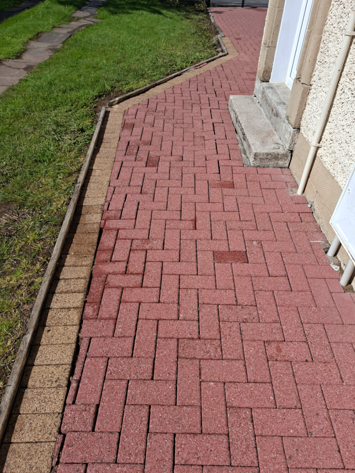 Moss & Algae Treatment — N&J Exterior Cleaning