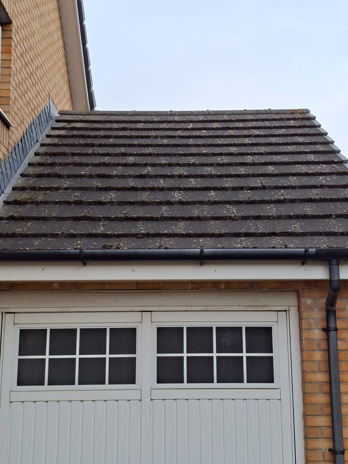 Roof soft wash before